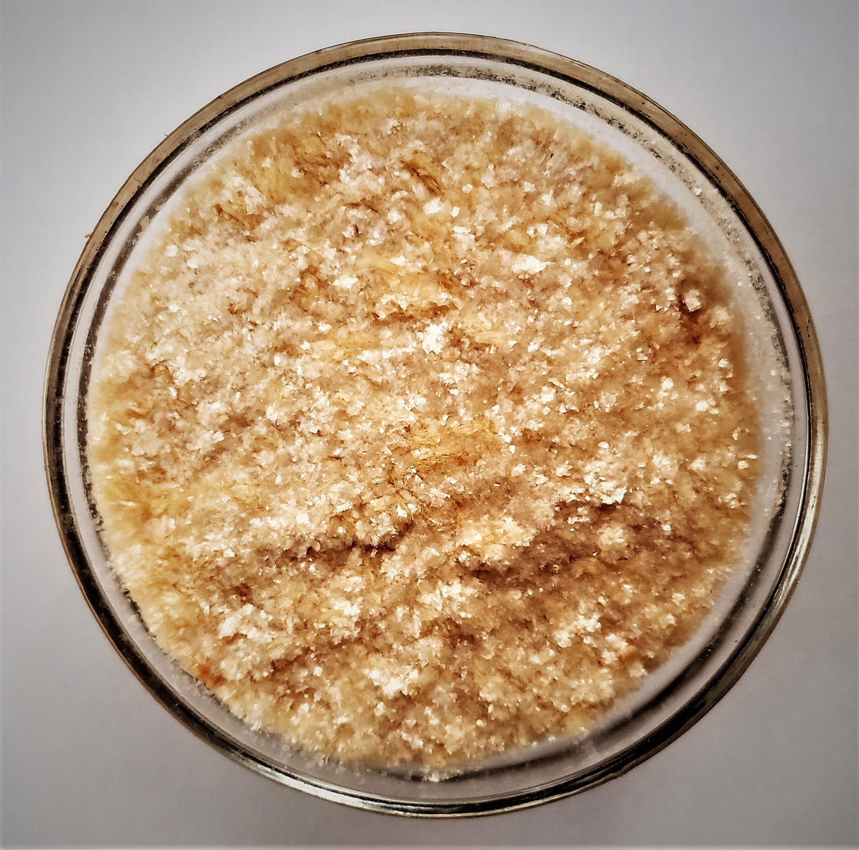 Elite Starter Bundle