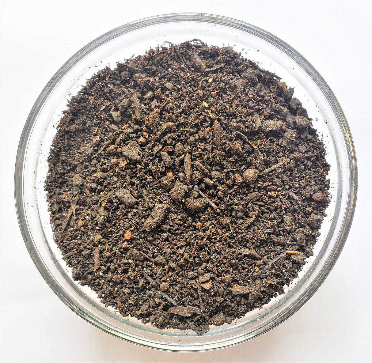 Elite Starter Bundle