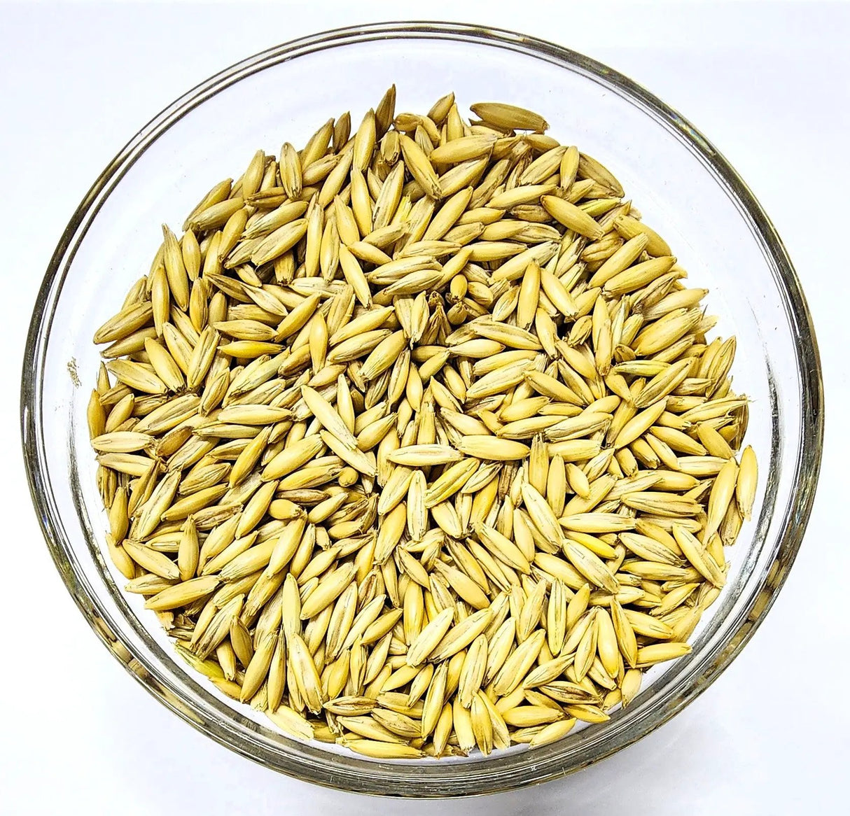 Spring Oats OG by The Soil Makers