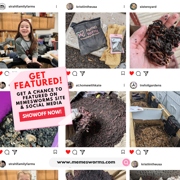 Composting Worm Mix – Red Wigglers & European Nightcrawlers (SC) by Meme's Worms