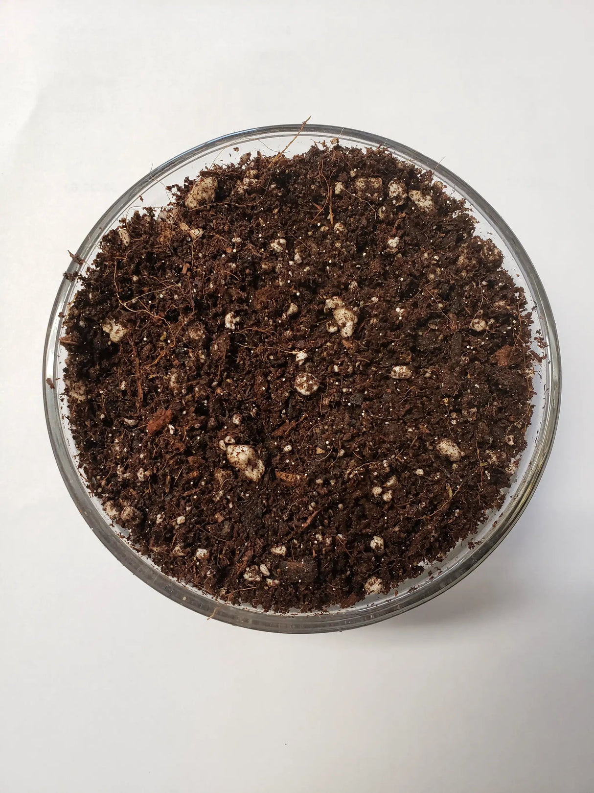 Elite Seed and Clone Soil by The Soil Makers