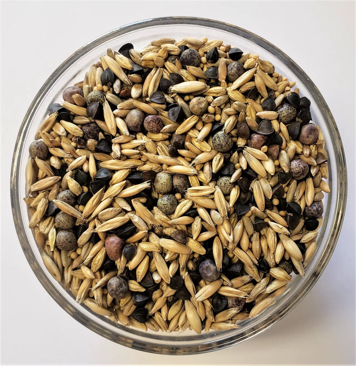 Elite Cover Crop Seed Mix by The Soil Makers