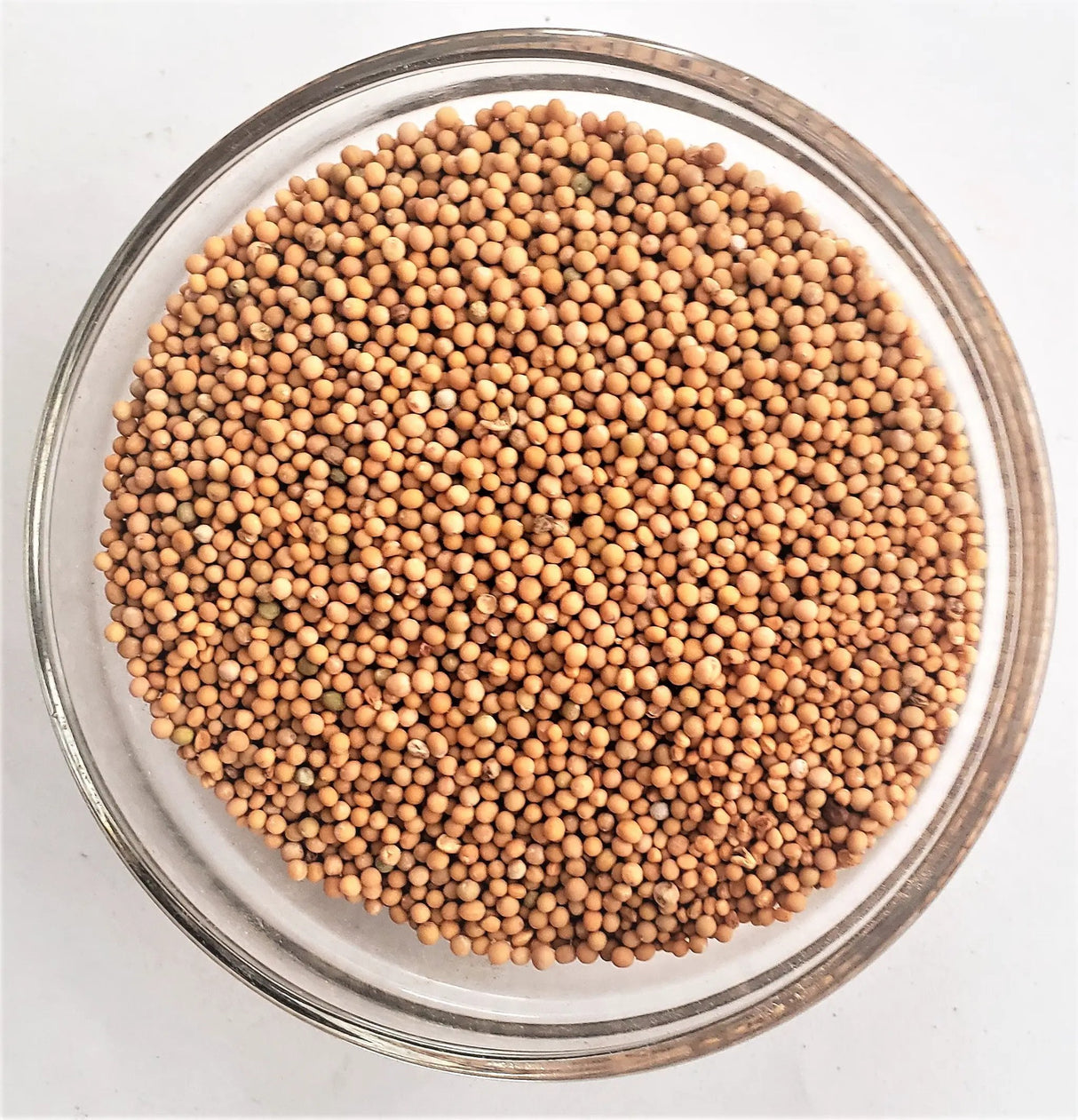 Mustard seed - non-gmo by The Soil Makers