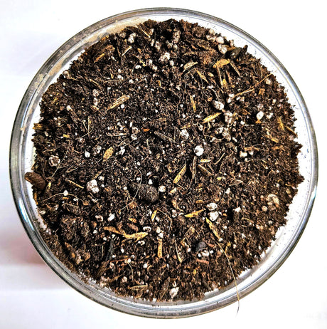 Organic Soils