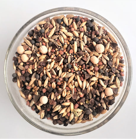 Cover Crop Seeds