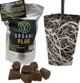 Propagation Power Bundle