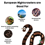 Composting Worm Mix – Red Wigglers & European Nightcrawlers (SC) by Meme's Worms