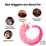 Composting Worm Mix – Red Wigglers & European Nightcrawlers (SC) by Meme's Worms