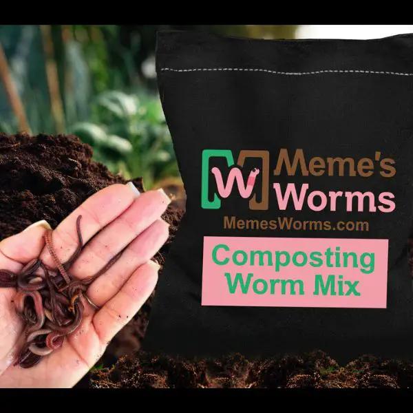 Composting Worm Mix – Red Wigglers & European Nightcrawlers (SC) by Meme's Worms