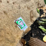 Composting Worm Mix – Red Wigglers & European Nightcrawlers (SC) by Meme's Worms