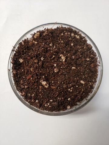 Elite Seed and Clone Soil